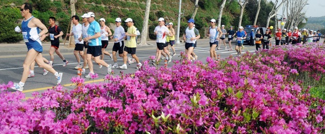 화창한 봄날씨를 보인 29일 경기일보와 과천시가 함께하는 2012 과천 마라톤대회가 관문체육공원 일대에서 펼쳐졌다. 5천여 명의 선수가 가족이 참가한 이번 대회는 풀코스, 하프코스, 10km, 5km 코스로 나뉘어 진행됐다. 참가자들이 봄꽃이 만개한 주로를 달리고 있다. 특별 취재반