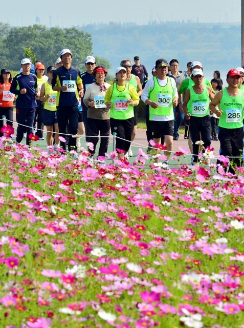구리시 주최, 경기일보 주관으로 14일 구리한강시민공원에서 열린 '2012 구리 코스모스 마라톤대회'에서 3천여명의 마라토너들이 한강변에 만개한 코스모스와 가을바람을 만끽하며 힘차게 질주하고 있다. 김시범기자 sbkim@kyeonggi.com