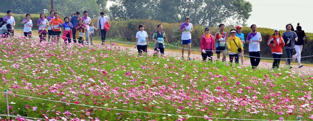 구리시 주최, 경기일보 주관으로 14일 구리한강시민공원에서 열린 '2012 구리 코스모스 마라톤대회'에서 3천여명의 마라토너들이 한강변에 만개한 코스모스와 가을바람을 만끽하며 힘차게 질주하고 있다. 김시범기자 sbkim@kyeonggi.com