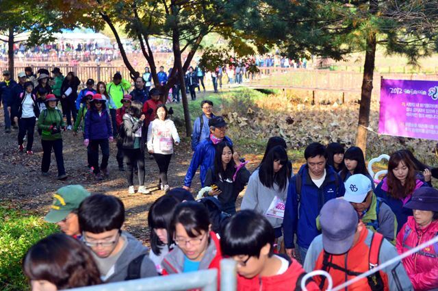 20일 남양주 봉선사 일대에서 열린 '2012 광릉 숲 힐링 걷기대회'에 참가한 2천여명의 시민들이 상쾌한 가을바람과 본격적으로 물들어가는 단풍 숲을 만끽하며 힘차게 걷고 있다. 김시범기자 sbkim@kyeonggi.com