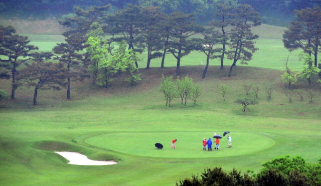 27일 경기일보 주최로 용인 신원CC에서 열린 '2013 경제인 자선골프대회'에서 참가자들이 그린에서 퍼팅을 하고 있다. 김시범기자 sbkim@kyeonggi.com