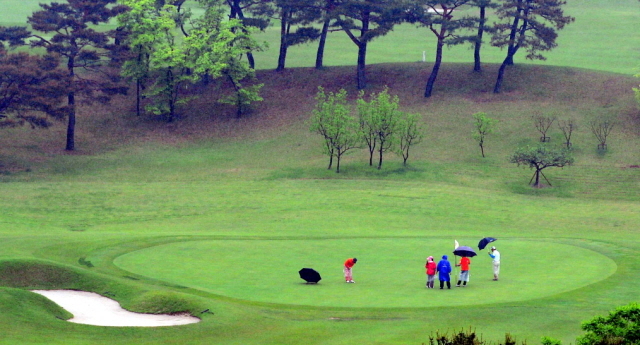 27일 경기일보 주최로 용인 신원CC에서 열린 '2013 경제인 자선골프대회'에서 참가자들이 그린에서 퍼팅을 하고 있다. 김시범기자 sbkim@kyeonggi.com