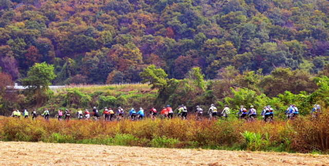 경기도와 연천군, 경기관광공사, 경기일보가 공동 주최한 정전60주년 DMZ 연천 평화누리길 자전거대행진이 열린 19일 참가자들이 가을 단풍으로 물든 라이딩 코스를 지나고 있다.  추상철기자 scchoo@kyeonggi.com