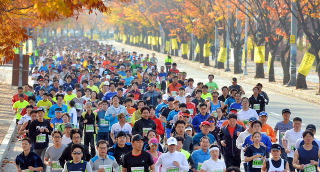 9일 안산 와스타디움에서 열린 '2014 안산 희망 마라톤대회'에서 각 코스별 출전선수들이 화려한 단풍과 가을정취를 만끽하며 안산시내를 달리고 있다. 안산시와 경기일보가 주최한 이번 행사는 마라토너와 자원봉사자 등 1만여명이 함께했다. 김시범기자