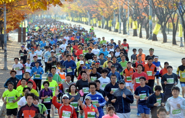 9일 안산 와스타디움에서 열린 '2014 안산 희망 마라톤대회'에서 각 코스별 출전선수들이 화려한 단풍과 가을정취를 만끽하며 안산시내를 달리고 있다. 안산시와 경기일보가 주최한 이번 행사는 마라토너와 자원봉사자 등 1만여명이 함께했다. 김시범기자