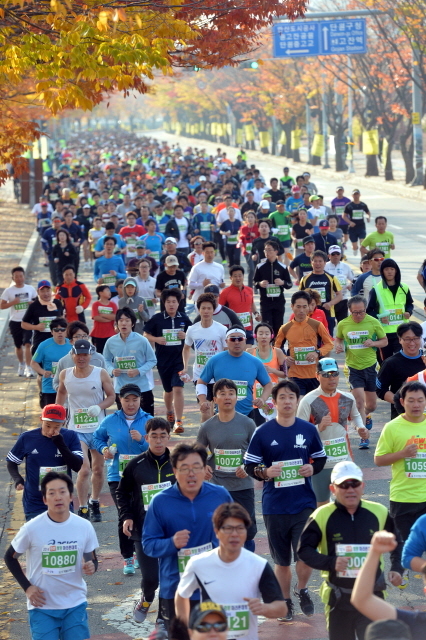 9일 안산 와스타디움에서 열린 '2014 안산 희망 마라톤대회'에서 각 코스별 출전선수들이 화려한 단풍과 가을정취를 만끽하며 안산시내를 달리고 있다. 안산시와 경기일보가 주최한 이번 행사는 마라토너와 자원봉사자 등 1만여명이 함께했다. 김시범기자