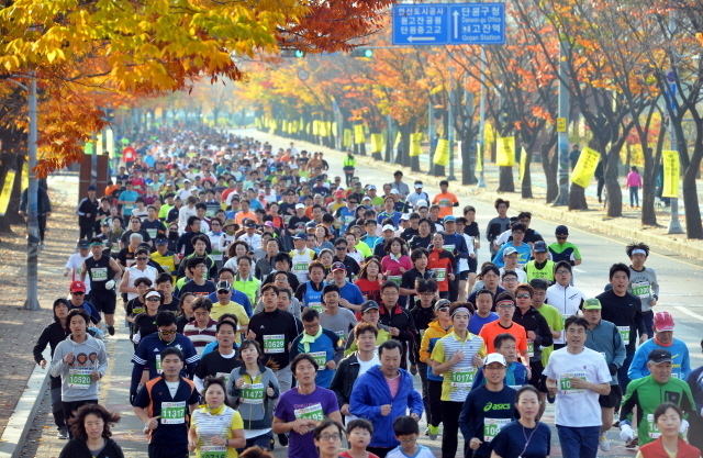 9일 안산 와스타디움에서 열린 '2014 안산 희망 마라톤대회'에서 각 코스별 출전선수들이 화려한 단풍과 가을정취를 만끽하며 안산시내를 달리고 있다. 안산시와 경기일보가 주최한 이번 행사는 마라토너와 자원봉사자 등 1만여명이 함께했다. 김시범기자