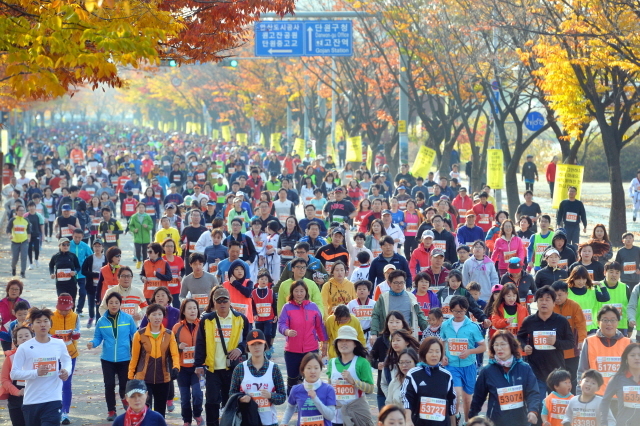 9일 안산 와스타디움에서 열린 '2014 안산 희망 마라톤대회'에서 각 코스별 출전선수들이 화려한 단풍과 가을정취를 만끽하며 안산시내를 달리고 있다. 안산시와 경기일보가 주최한 이번 행사는 마라토너와 자원봉사자 등 1만여명이 함께했다. 김시범기자