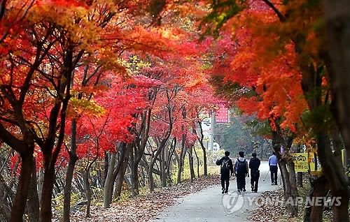 ▲ 사진= 전국 맑고 10도 안팎 큰 일교차, 연합뉴스