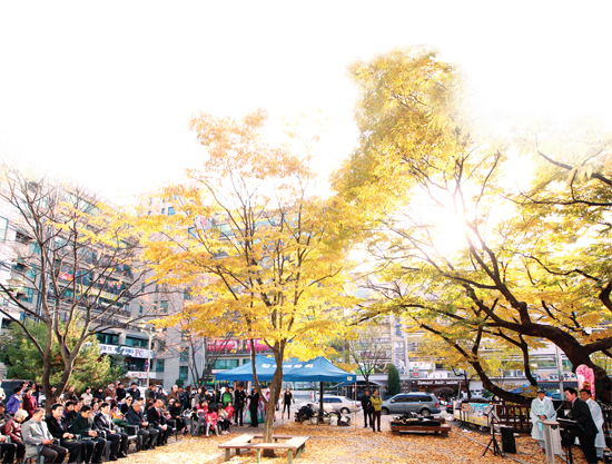 ▲ 350년 된 거목이 자리한 느티나무 군락지에서 열리는 갈곡마을 느티나무문화제는 주민들의 큰 호응을 얻는 지역행사로 자리잡았다.