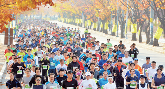 ▲ 각 코스별 출전선수들이 화려한 단풍과 가을정취를 만끽하며 안산시내를 달리고 있다. 안산시와 경기일보가 주최한 이번 행사는 마라토너와 자원봉사자 등 1만여명이 함께했다