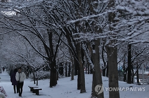 ▲ 사진= 빙판길 주의, 연합뉴스