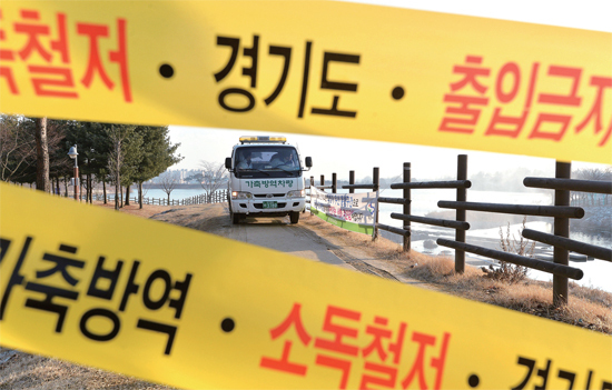 ▲ 수원시 서호저수지에서 폐사한 큰기러기에서 H5N8형 조류인플루엔자(AI) 바이러스가 감염된 것으로 밝혀진 28일 수원시 방역관계자들이 서호저수지와 서호공원 산책길 등을 통제한 채 긴급 방역활동을 벌이고 있다.  김시범기자