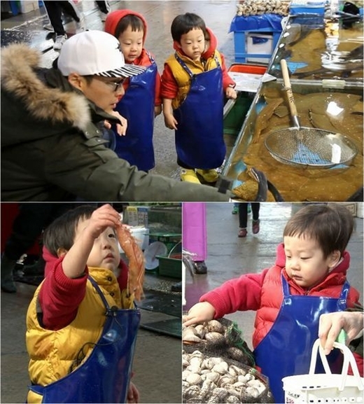 ▲ 서언 서준 수산시장 점령, KBS2 방송 화면 캡처