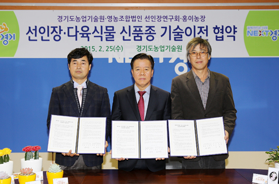 ▲ 경기도농업기술원은 신품종 선인장과 다육식물 10종을 도내 선인장 농가 등에 보급한다고 25일 밝혔다.
