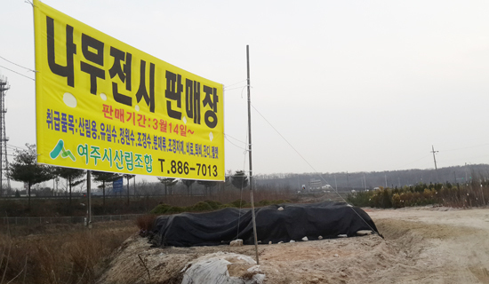 ▲ 여주시 점봉동228―5번지 여주톨게이트 바로 앞에 개장한 여주시산림조합 나무전시판매장.
