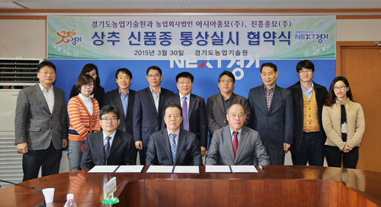 ▲ 경기도농업기술원이 신품종 상추 2종을 관내 농가에 보급한다고 30일 밝혔다. 도농기원은 이날 농기원 대회의실에서 아시아종묘(사장 류경오), 진흥종묘(사장 김기인) 등 2개 업체와 통상실시 협약을 맺고, 자체 개발한 ‘햇살적축면’과 ‘스노우그린’을 관내 농가에 보급키로 했다.
