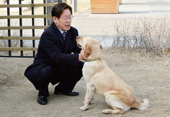 ▲ 성남시가 입양한 유기견 ‘행복이(3세ㆍ암컷)’가 최근 3개월간의 경기도의 한 애견 훈련소에서 사회성 교육을 마치고 지난 3월 16일 늠름한 모습으로 돌아온 가운데 이재명 성남시장이 행복이의 귀환을 반가워하고 있다
