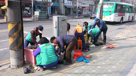 ▲ 구리시 수택2동(동장 유동혁)은 새 생명이 돋아나는 새봄을 맞아 시민들에게 산뜻한 분위기를 제공하고자 주요 도로면과 이면도로의 대형 화분 66개와 화단 7개소에 봄꽃 거리를 조성했다고 1일 밝혔다