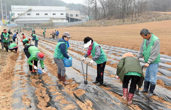 ▲ 새마을운동 광주시지회는 지난 달 31일 곤지암읍 경충대로 727 휴경지에서 ‘사랑의 감자심기 행사’를 가졌다.