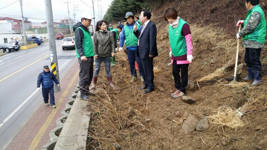 ▲ 광주시 초월읍 남녀새마을지도자협의회(회장 김유기, 부녀회장 오수임)는1일 ‘아름다운 초월읍 조성을 위한 개나리 식재사업’을 추진했다.