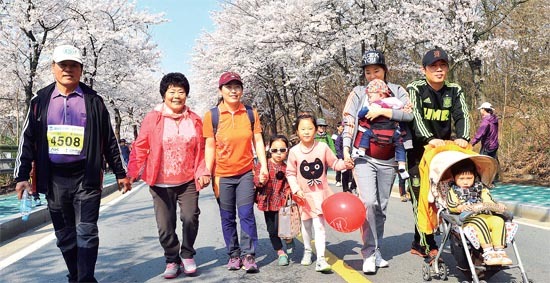 ▲ 온가족이 화창한 날씨속에 만개한 벚꽃을 만끽하며 걷고 있다.참가자들이 걷는 도중 벚꽃을 머리에 꽂은채 포즈를 취하고 있다.