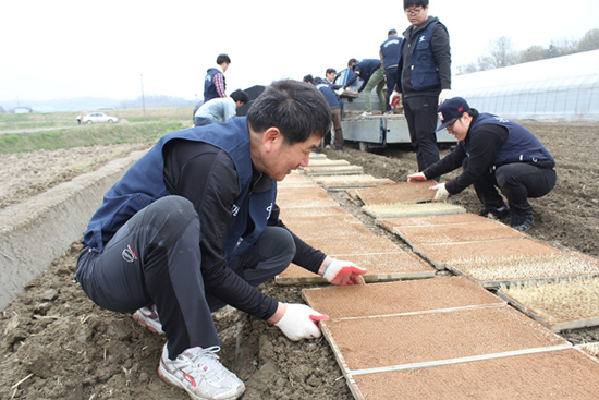 ▲ 오산시 시설관리공단(이사장 이종상) 임·직원들은 지난 16일 ‘1사 1촌’ 자매결연 마을인 오산시 서2동을 방문해 농가 일손 돕기에 나섰다.