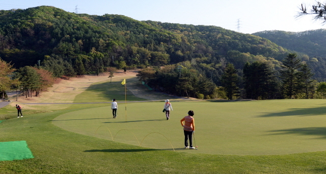 경기일보가 주최한 2015 경제인 자선골프대회가 열린 27일 용인 골드CC에서 참가자들이 푸른 그린을 배경으로 골프를 즐기고 있다. 추상철기자