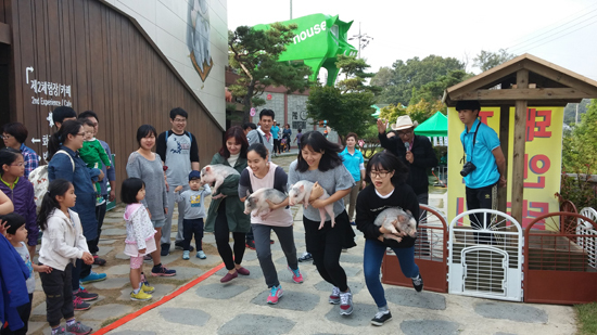 ▲ 이천시 율면 월포리 소재 돼지박물관에서 다음달 16일부터 2일간 ‘2015 꽃돼지 축제’가 개최된다.