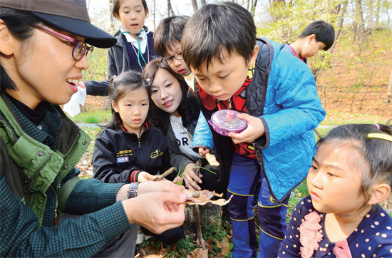 ▲ 박은선 숲 해설사가 나무 뿌리와 나뭇잎을 아이들에게 보여주며 자연의 신비로움에 생명의 소중함에 대해 알려주고 있다