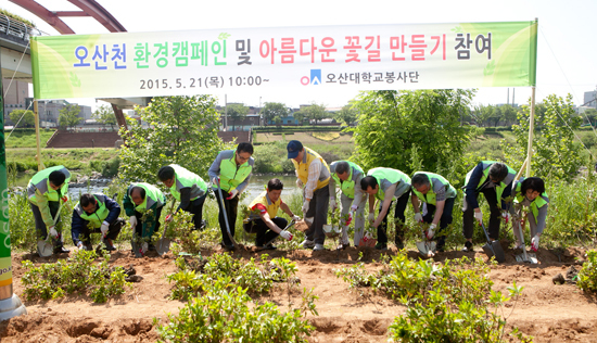 ▲ 오산대학교(총장 서범석)가 개교 36주년을 맞아 오산시민의 휴식처인 오산천에서 대대적인 정화활동을 전개했다.