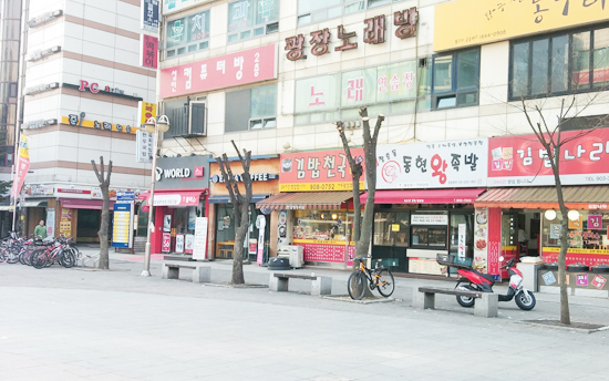 ▲ 25일 고양시에 따르면 일산동구는 마두역 주변 가로수인 느티나무 6그루 가지를 훼손한 A씨 등 2명에게 원상복구명령을 내렸다.