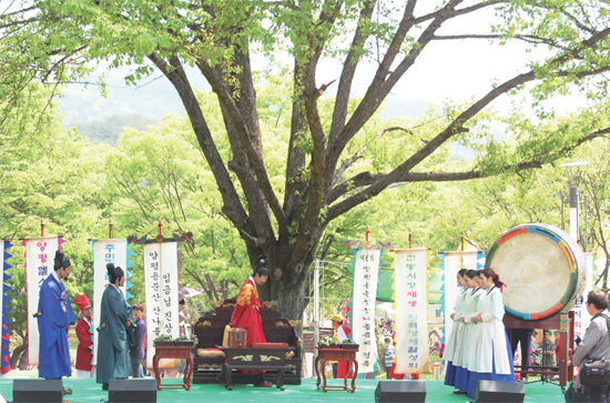 ▲ 상황극을 통해 조선시대 전통 복장을 입고 임금에게 용문산에서 채취한 산나물을 진상하고 있다