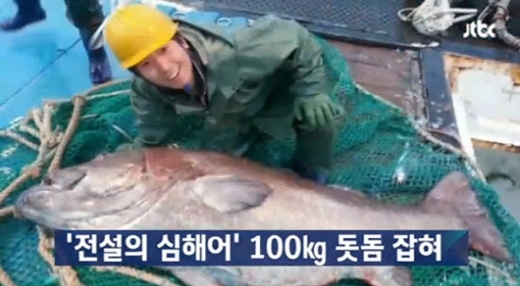 ▲ 사진= 전설의 심해어 돗돔, JTBC 방송 캡처