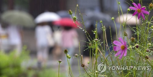 ▲ 사진= 오늘 날씨, 연합뉴스