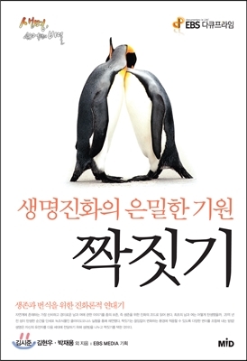 ▲ 짝짓기