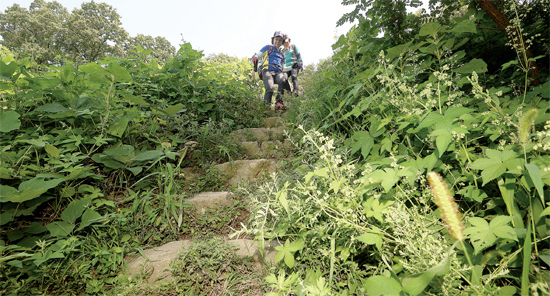 ▲ 사적 제140호 오산 독산성 세마대지 곳곳이 훼손되거나 제초작업이 이뤄지지 않는 등 관리가 소홀해 흉물로 전락하고  있다.  오승현기자
