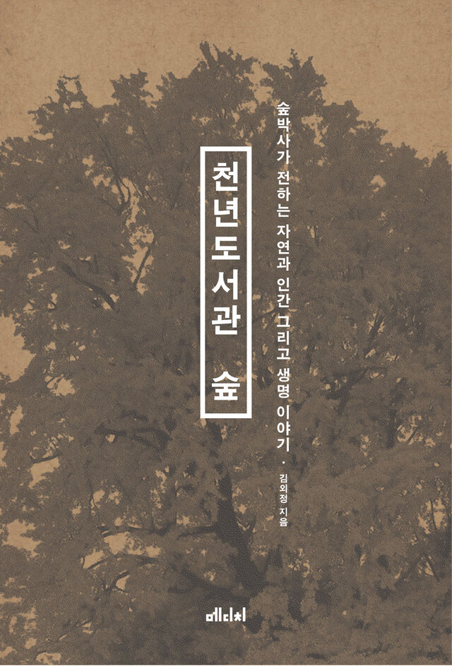 ▲ 천년도서관 숲