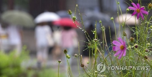 ▲ 사진=내일 날씨, 연합뉴스
