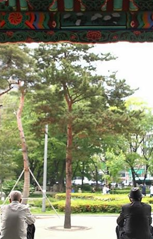 ▲ 사진=한국은 60위, 연합뉴스
