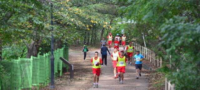 12일 인천시 중구 월미도 일대에서 인천시·해군본부 공동주최, 인천육상경기연맹 주관으로 ‘9·15 인천상륙작전 전승기념 마라톤 대회’가 열려 군 장병을 비롯한 건각들이 월미공원을 질주하고 있다. 오승현기자