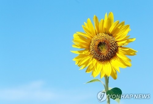 ▲ 사진=청명한 가을 하늘, 연합뉴스