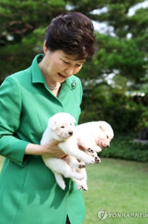▲ 사진=朴대통령 靑 강아지 이름, 연합뉴스