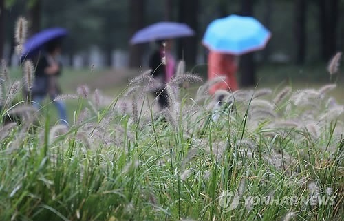 ▲ 사진=전국 기온 뚝, 연합뉴스