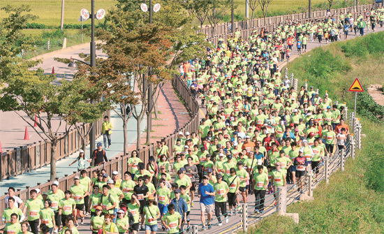 ▲ 9월 13일 시흥갯골생태공원 일대에서 열린 ‘제1회 시흥 갯골 전국 하프 마라톤대회’에서 5km 부문 참가선수들이 노랗게 익어가는 들녘을 가르며 힘찬 레이스를 펼치고 있다