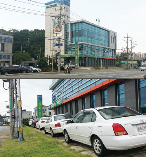 ▲ 강화농협 신청사(위). 강화농협은 신청사 주변 녹지구역을 직원주차장으로 사용하고 불법으로 조경을 했다.