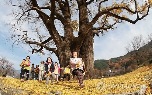 가을1.jpg