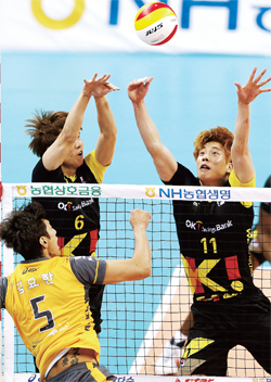 제목 없음-1 사본.jpg