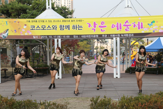▲ 2015-10-17%20코스모스와%20함께하는%20작은%20음악제(내손동)%20(32)[1]