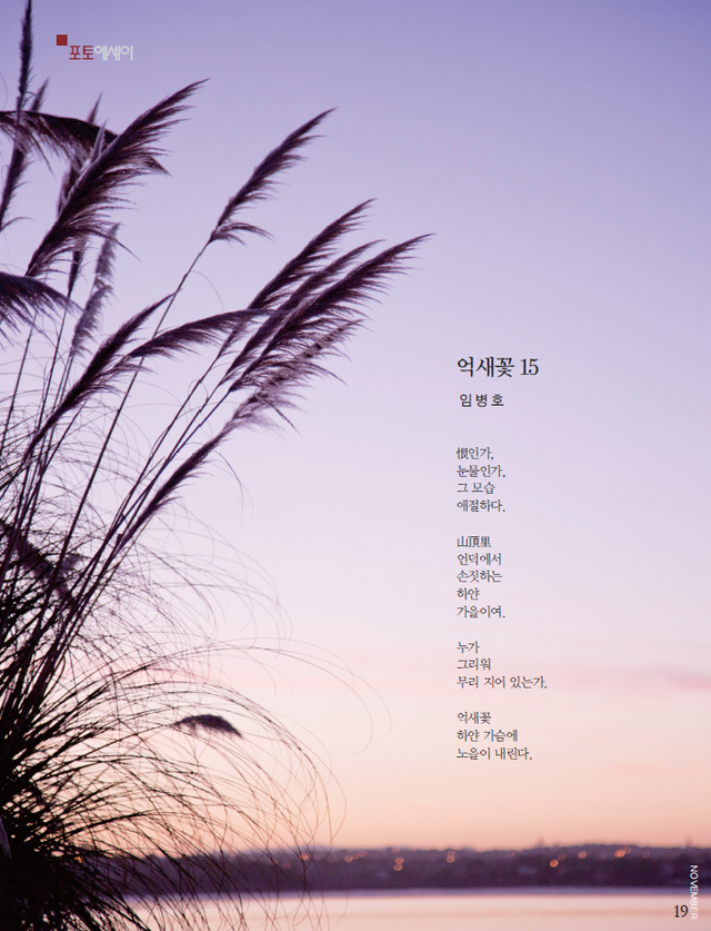 제목 없음-1 사본.jpg